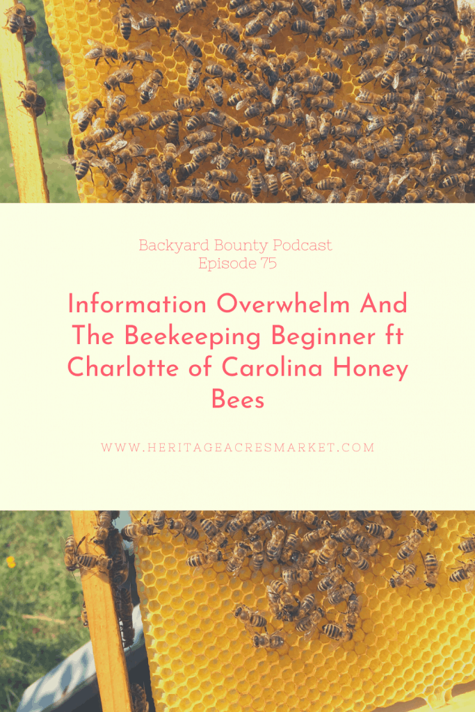 What is a Beekeeper Called & What Do They Do? - Carolina Honeybees